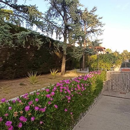Villa Mary - Apartments Trani Bagian luar foto